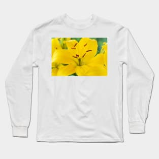 Lilium  &#39;Butter Pixie&#39;  Dwarf Asiatic lily Long Sleeve T-Shirt